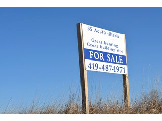 54.7 Acres with 50 tillable and 4.3 wooded.  Surrounded by heavy deer population on CRP land.  Great trophy deer hunting on established food plots.  Hunting tower.

Receive income on tillable acres while abundance of deer hunting on established food plot. - Great Investment Opportunity - Tillable Land, Recreation & Building Site